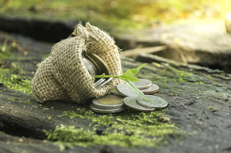 Group of coin stack in mini sack and plant glowing in saving coins in the garden background,Wealth and financial concept.の写真素材