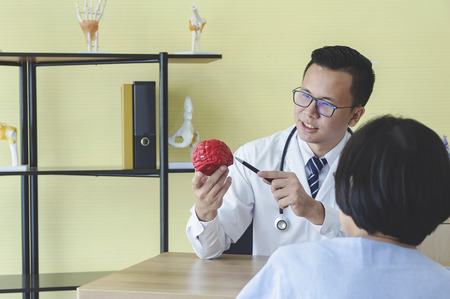 Man doctor neurologist is showing a elder female patient something on a synthetic brain.の写真素材