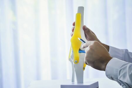 Physiotherapist holding a spine model in clinicの写真素材