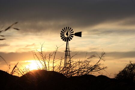 A Windmill sunset with weeds,clouds,and sun.の写真素材