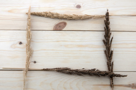 Frame made of different wheats isolated on wood floorsの写真素材