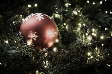 Christmas ball hanging on tree  の写真素材