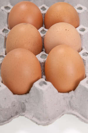 Close-up view of raw chicken eggs in egg boxの写真素材