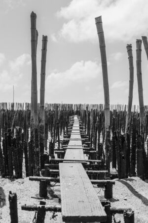 walkway to the beach in thailand beach,A second wave of anti-bambooの写真素材
