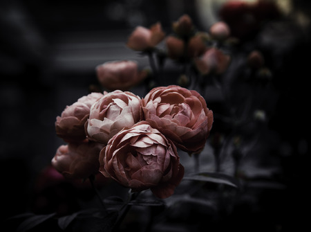 Flowers in the design of natural dark tones. The image is the artの写真素材