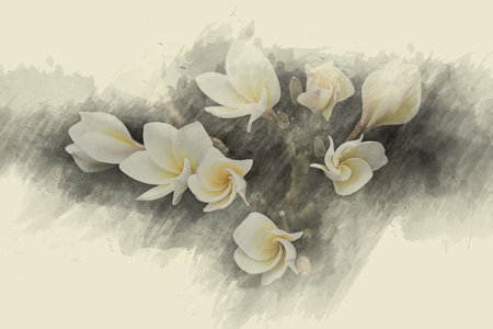 flower design  on black Vintage beautiful flowers made with color filtersの写真素材