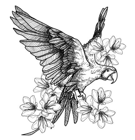 Tattoo art bird hand drawing and sketch black and white on white backgroundのイラスト素材