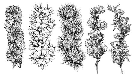 Tattoo flowers art hand drawing sketch black and whiteのイラスト素材