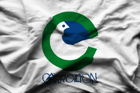 Carrollton Texas 3D wrinkled flag illustration. Usable for background and texture.