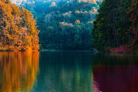 The beauty of the scenery of the trees reflecting the surface of the water in the autumn colors by...