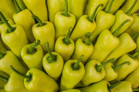 Yellow peppersの写真素材