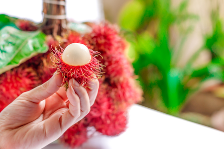 Rambutan peels off half In the women's handsの写真素材
