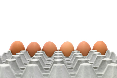 Six Eggs, Fresh chicken egg in paper tray isolated on white background.