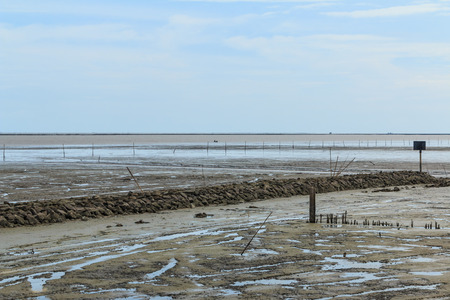 Maritime landscape at low tide water - at Bang Pakong, Chachoengsao Province, Gulf of Thailand