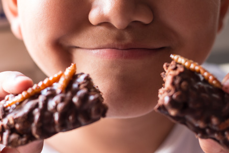 Children eating bamboo worm insect crispy and chocolate wafer bars ingredients include almonds, cashews. Fried insects great source of protein for children, Select focusの写真素材