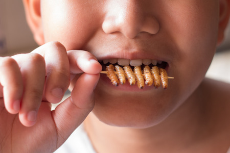 Children eating bamboo worm insect crispy and chocolate wafer bars ingredients include almonds, cashews. Fried insects great source of protein for children, Select focusの写真素材