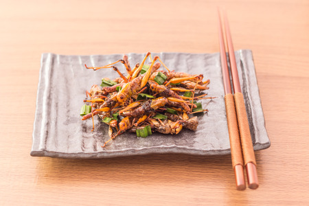 Fried insects - Wood worm insect crispy with pandan after fried and add a light coating of sauce and garnish Thai pepper powder with chopsticks, tea, on wooden backgroundの写真素材