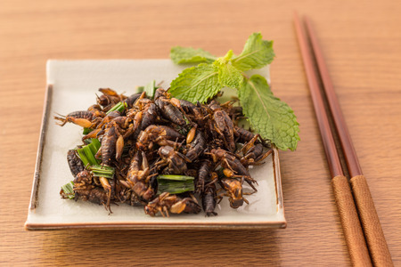 Fried insects - Cricket insect crispy with pandan after fried and add a light coating of sauce and garnish Thai pepper powder on white dish with chopsticks on wooden background, Select focusの写真素材