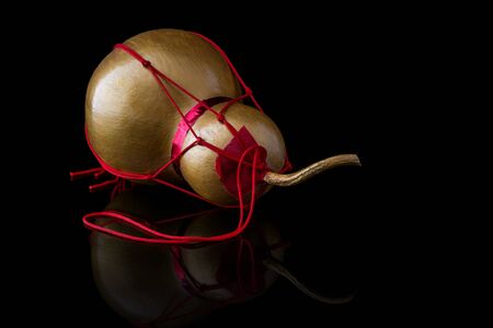 Asia as a symbol of lucky and safety protected, health and wealth in Feng Shui. Isolated on a black...