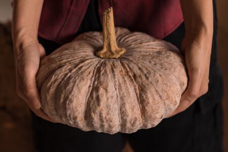 Woman holds pumpkin in her hands. Close up studio shootの写真素材