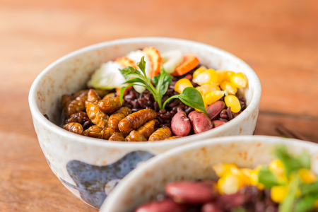 Insect and Rice Berry - Cricket insect, Corn, Red bean, Carrot, Cucumber with Rice Berry in a bowl. Healthy meal high protein diet concept. Close-up, Selective focus.の写真素材