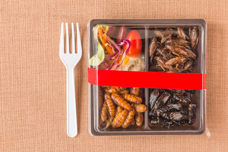 Insect food collection - Cricket, worm insects with vegetable salad in the brown food boxes. Healthy meal high protein diet concept. Top view.の写真素材
