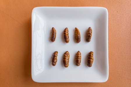 Insect foods in banana cupcakes - A white plate for Insect foods in banana cupcakes on orange...