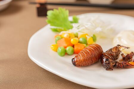 Fried Worm, Insect food with vegetable salad in the white bowl. Healthy meal high protein diet...