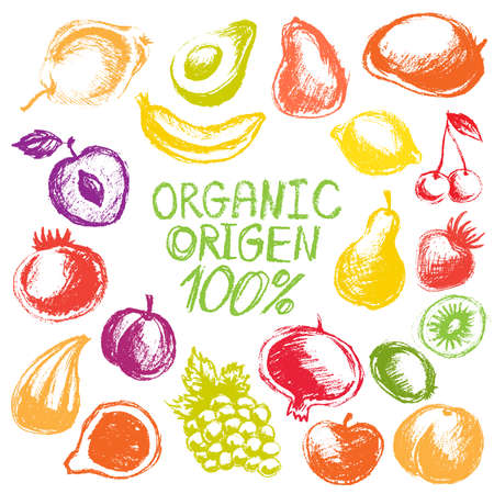 Hand drawn colorful fruits isolated, vector fresh organic chalk fruits set on white backgroundのイラスト素材