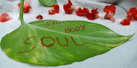 Spa body soul word presented on green leaf with colorful flowers white background.