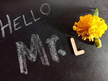 Hello mister L text displayed on chalk board concept with wooden alphabet english symbol.の写真素材