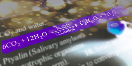Sunlight chlorophyll formula highlighted with closeup view on book word educational related terminology presented for students awareness.の写真素材
