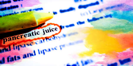 Pancreatic juice word highlighted with closeup view on book word educational related terminology presented for students awareness.の写真素材