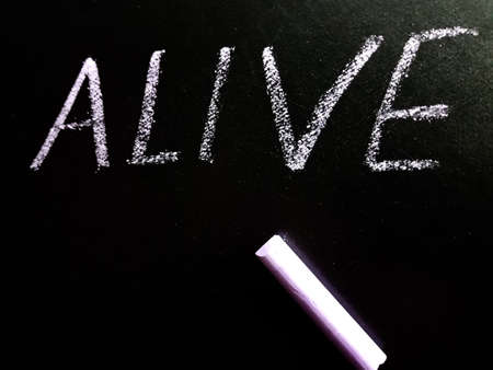 Alive word displayed on black board for learning and awareness terminology for education purpose.の写真素材
