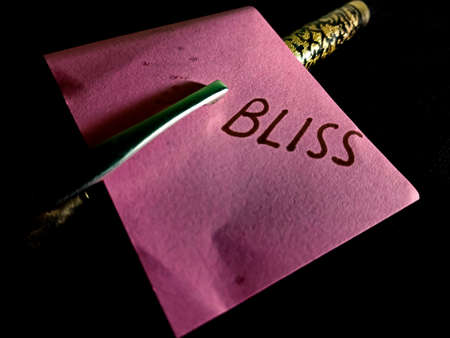 Bliss word displayed on paper slip concept for educational informative awareness.の写真素材