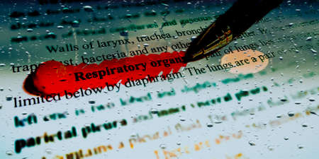 Respiratory organs word highlighted with closeup view on book word educational related terminology presented for students awareness.の写真素材