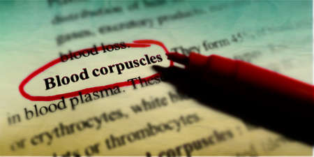 Blood corpuscles word highlighted with closeup view on book word educational related terminology...