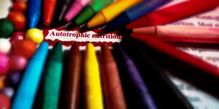 Autotrophic Nutrition word highlighted with closeup view on book word educational related...