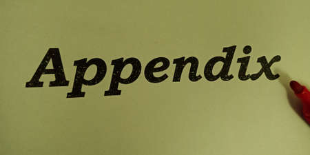 Appendix word displayed on paper slip concept for educational informative awareness.