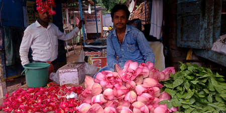 DISTRICT KATNI, INDIA - AUGUST 12, 2019: Asian Gardener selling beautiful pink lotus at indian flower fresh market during hindu holy festival.のeditorial素材