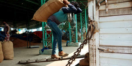 DISTRICT KATNI, INDIA - SEPTEMBER 18, 2019: Indian poor people unloading wheat grain sack from loaded truck around food corporation of india go down.のeditorial素材