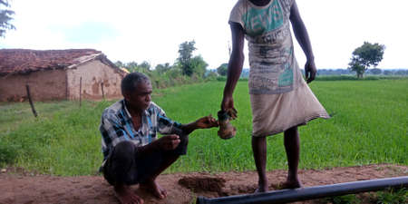 DISTRICT KATNI, INDIA - AUGUST 03, 2019: Indian village farmer giving irrigation tool for setup at green agriculture field at outdoor sky environment.のeditorial素材