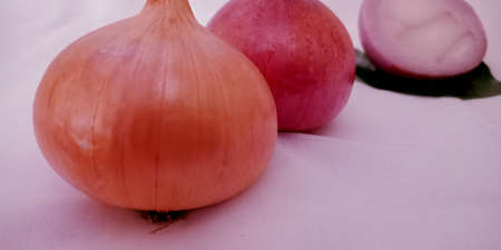 Fresh white color isolated brown onion with set mixed green leaf for marketing promotion purpose.の写真素材