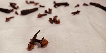 Fresh dark color isolated double clove with set mixed for marketing promotion purpose.の写真素材