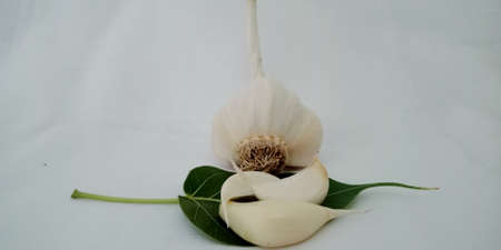 Fresh white color isolated garlic with set mixed green leaf surface for marketing promotion purpose.の写真素材