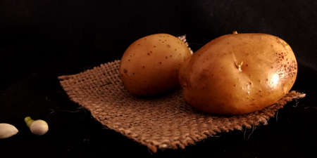 Fresh brown double Potato sack mat surface set isolated on black background agriculture surface branding presentation.の写真素材