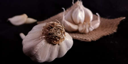 Fresh white garlic sack mat surface set isolated on black background agriculture surface branding presentation.の写真素材
