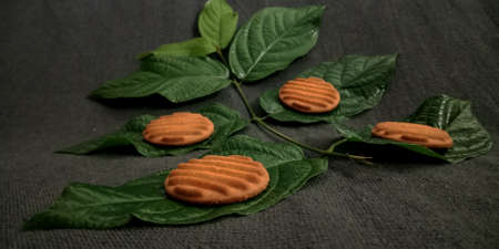 Fresh green natural leaves and coconut biscuits on grey background.fresh and food conceptの写真素材