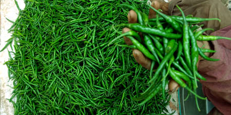 Fresh green chillies isolate on hand with mix agriculture produce farmers market background.の写真素材