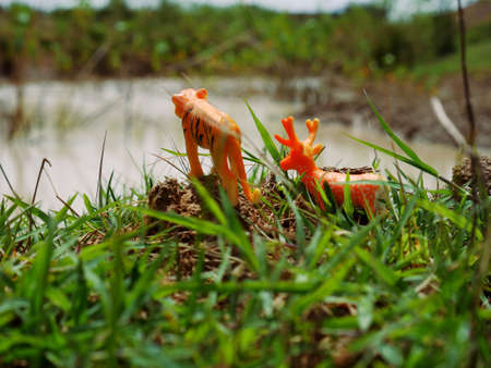 Tiger and deer animal toy standing together near the river blur backgroundの写真素材